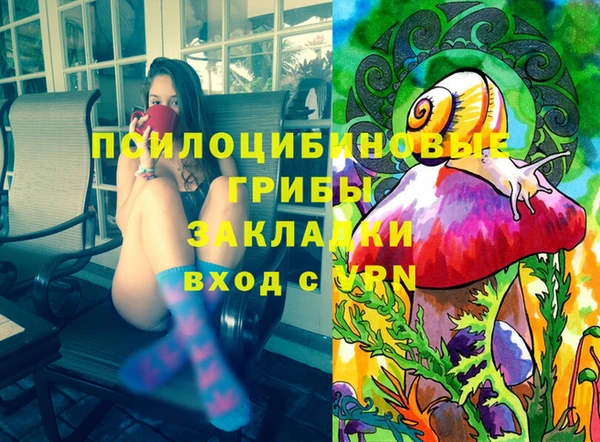 первитин Алексин