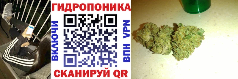даркнет как зайти наркошоп Чадан Бошки Шишки Ganja МЕГА онион